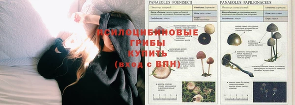 соль ск Корсаков