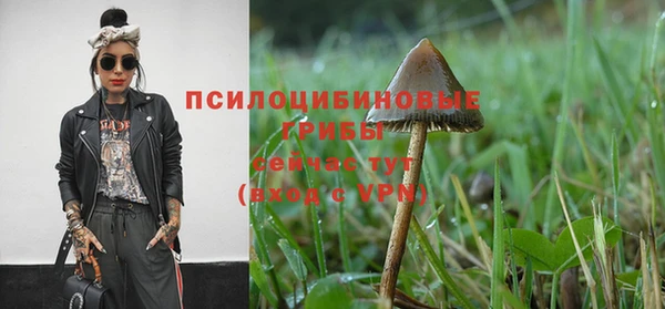 соль ск Корсаков